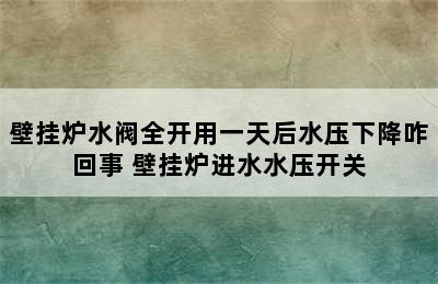 壁挂炉水阀全开用一天后水压下降咋回事 壁挂炉进水水压开关